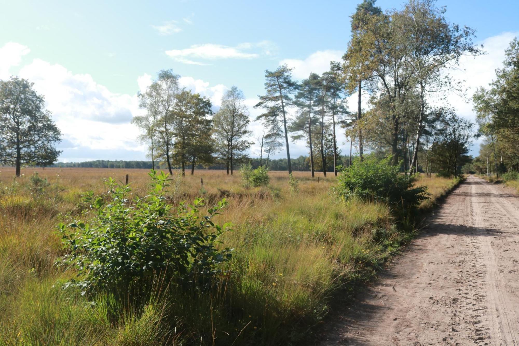Park Drentheland Hotel Zorgvlied ภายนอก รูปภาพ
